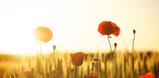 Co zamiast magnezji pole dance?