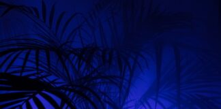 Jakie majtki nosić do legginsów?