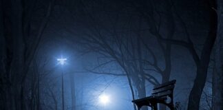 Jakim autem jeździ polska policja?