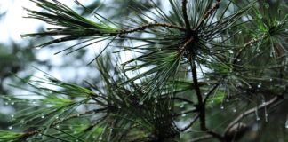 Jak dopasować bagażnik do roweru?