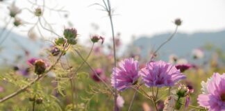 Co pod prześwitujące spodnie?