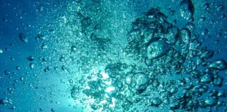 Ile kosztuje kurs nurkowania w Chorwacji?