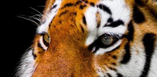 Jak nie wciągać wody nosem?