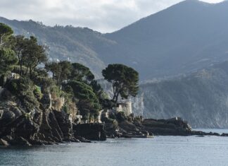 Ile kosztuje wynajęcie łóżka rehabilitacyjnego na miesiąc?