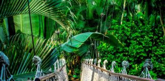 Jakie liny na wanty?