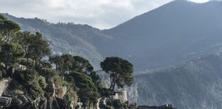 Ile kosztuje najtańszy wózek inwalidzki?