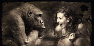 Co to jest sępia gotowanie?