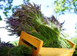 Jak zrobić bukiecik że słodyczy?