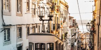 Ile kosztuje wózek inwalidzki dla kota?