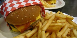 Czy do McDonald można wejść z psem?