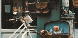 Do jakiego sklepu można wejść z psem?