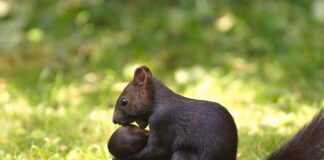 Co wyrzucić przed przeprowadzką?