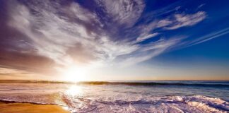 Jak zrobić piankę z żelatyny i jogurtu?