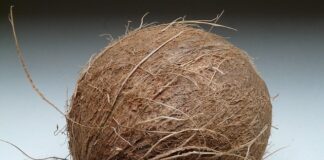 Co jest w środku kokosa?