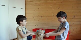 Jak samemu zrobić zabawkę dla kota?