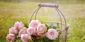 Jaki kosz na worki 35l?